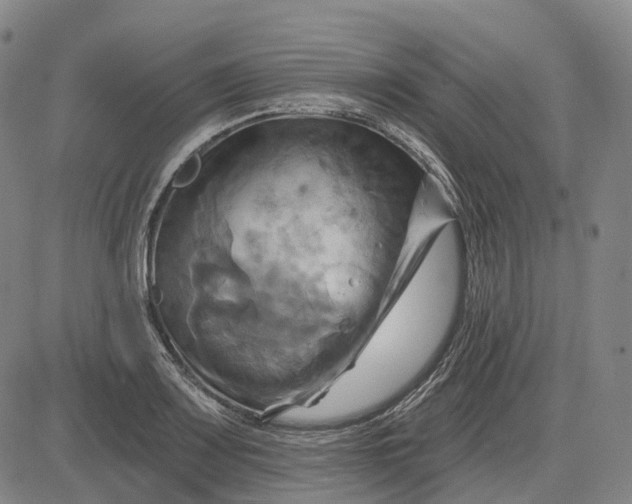 X0000083041083200702161700