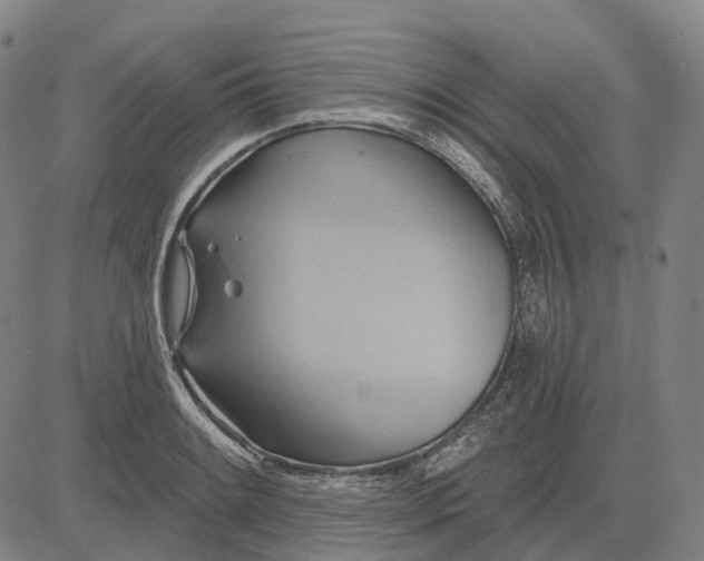 X0000083041084200702161700