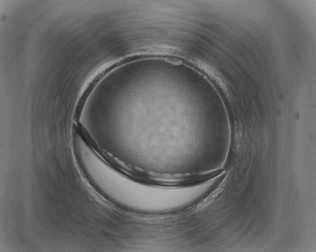 X0000083041085200702161700