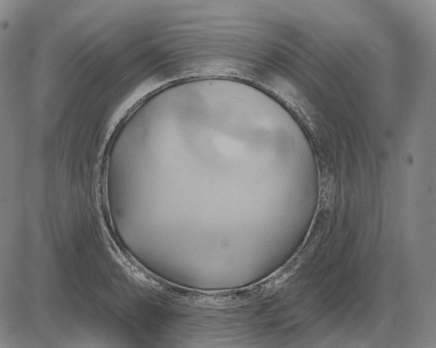 X0000083041086200702161700