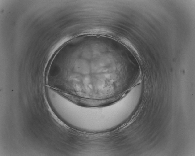 X0000083041087200702161700