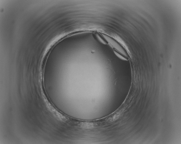 X0000083041088200702161700