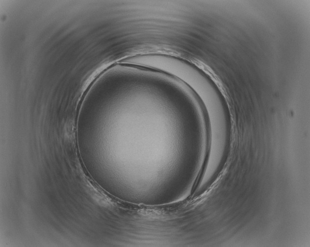 X0000083041089200702161700