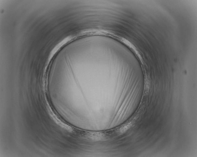 X0000083041090200702161700