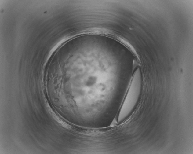 X0000083041091200702161700