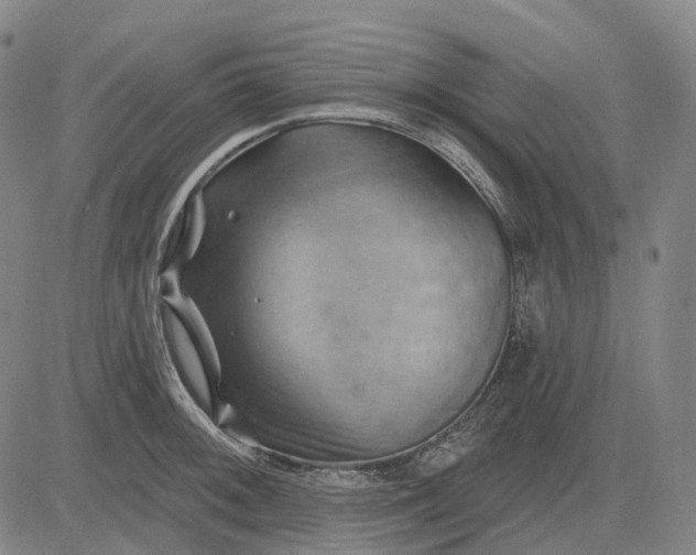 X0000083041092200702161700