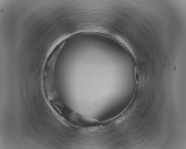 X0000083041093200702161700