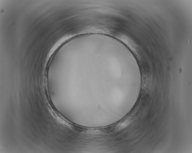 X0000083041094200702161700