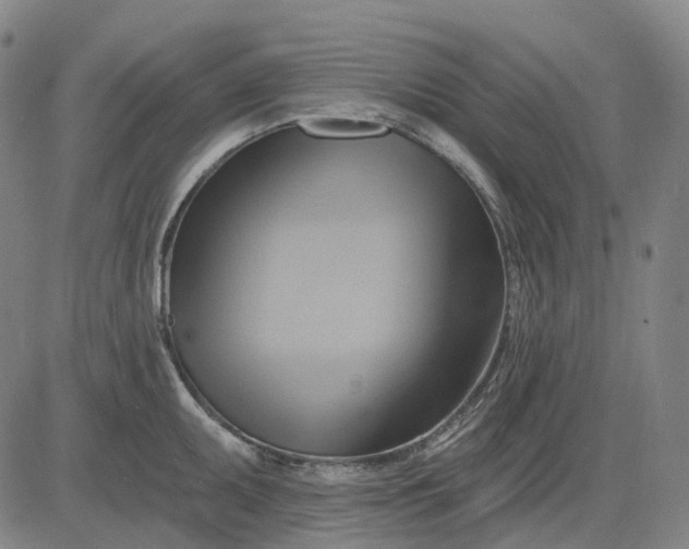 X0000083041095200702161700