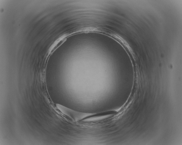 X0000083041097200702161700