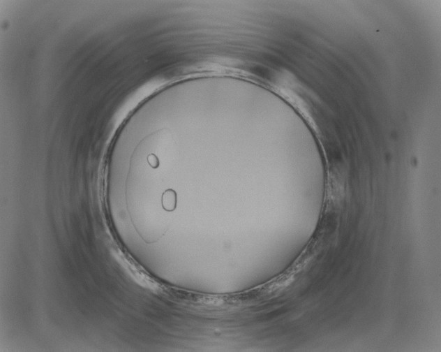 X0000083041098200702161700