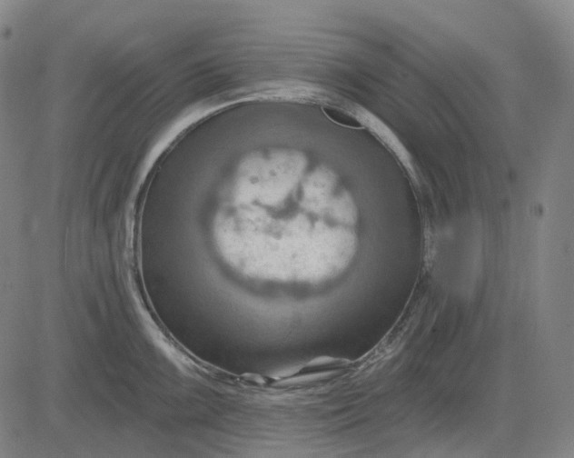 X0000083041099200702161700