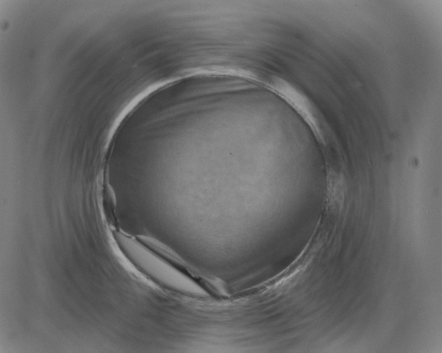 X0000083041100200702161700