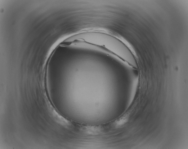 X0000083041102200702161700