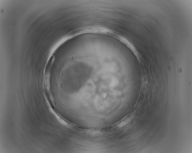 X0000083041103200702161700