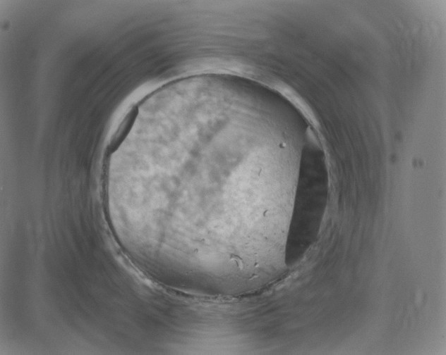 X0000083041104200702161700