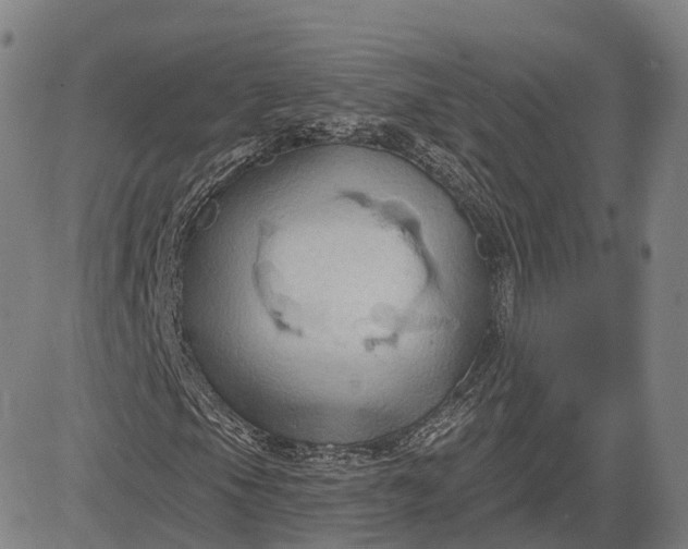 X0000083041105200702161659