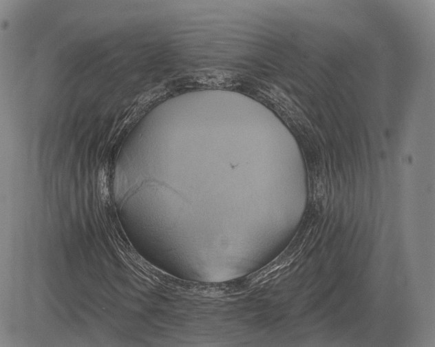 X0000083041106200702161659