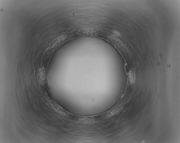 X0000083041107200702161659