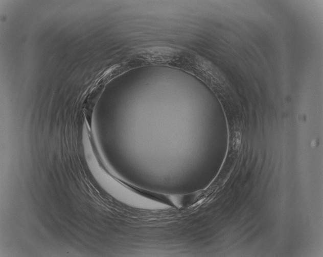 X0000083041108200702161659