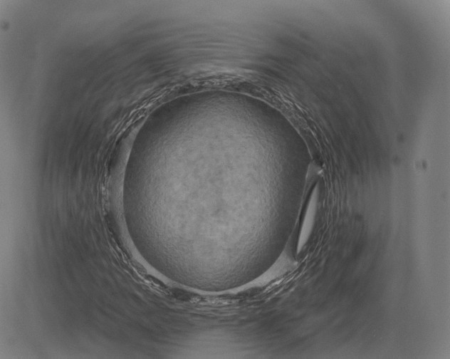 X0000083041109200702161659