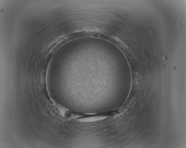 X0000083041110200702161659