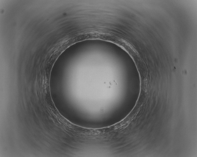 X0000083041111200702161659