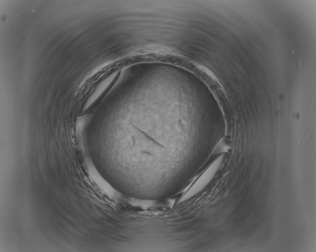 X0000083041112200702161659