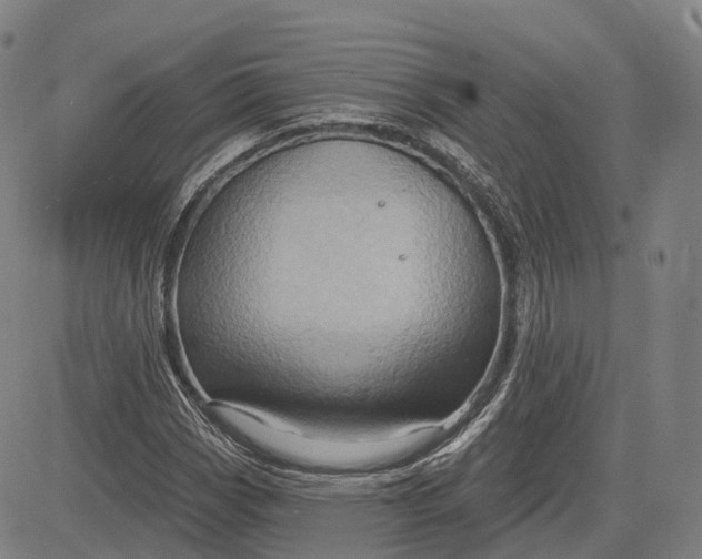 X0000083041113200702161659