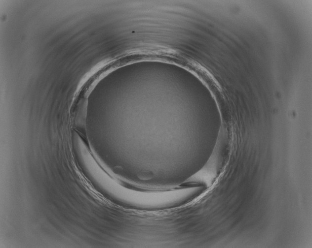 X0000083041114200702161659