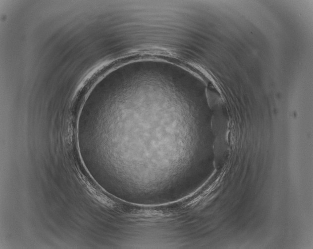 X0000083041115200702161659