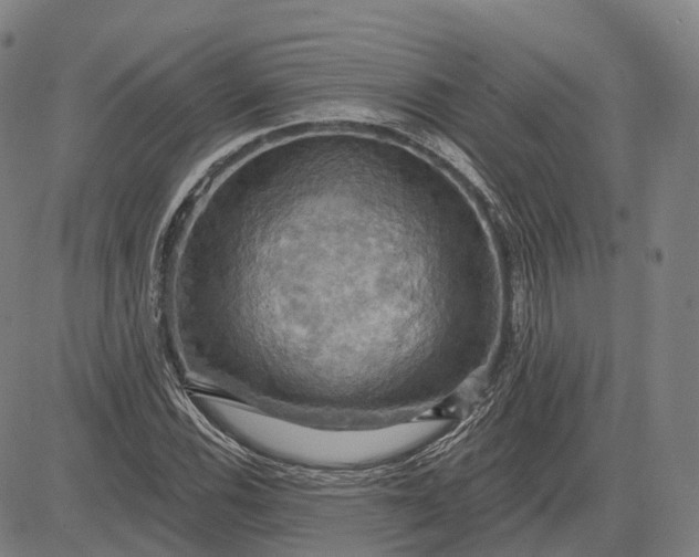 X0000083041116200702161659