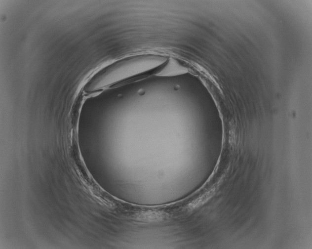 X0000083041117200702161659