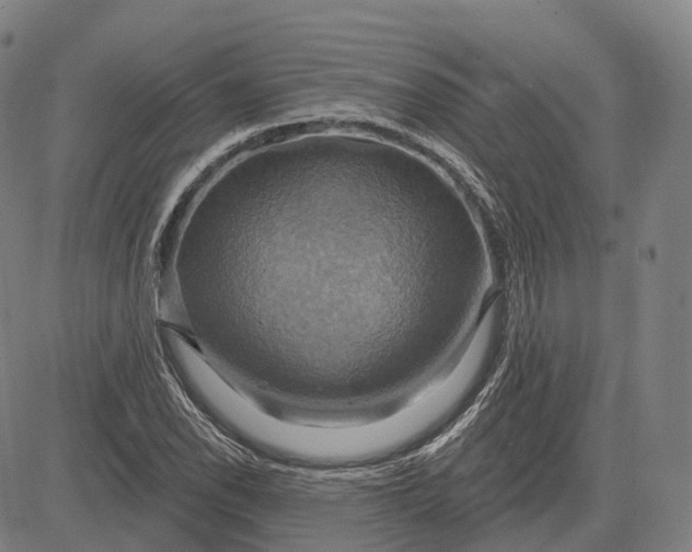 X0000083041118200702161659