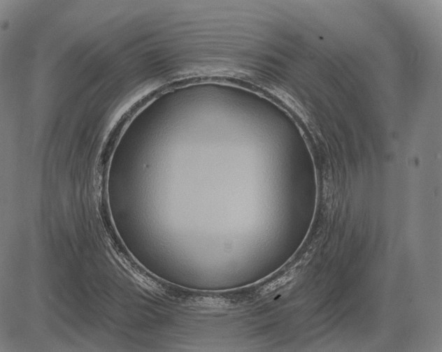 X0000083041119200702161659