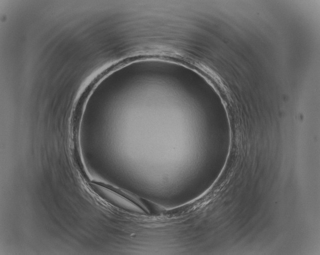 X0000083041120200702161659