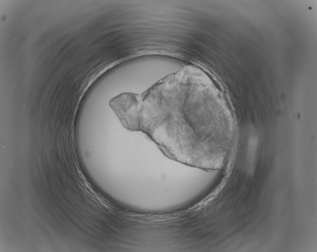 X0000083041121200702161659