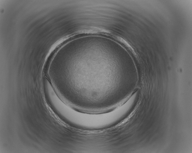 X0000083041122200702161659