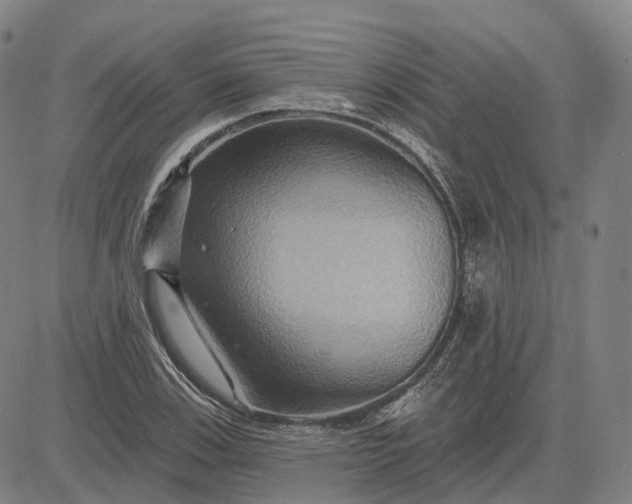 X0000083041123200702161659