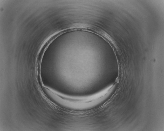 X0000083041124200702161659