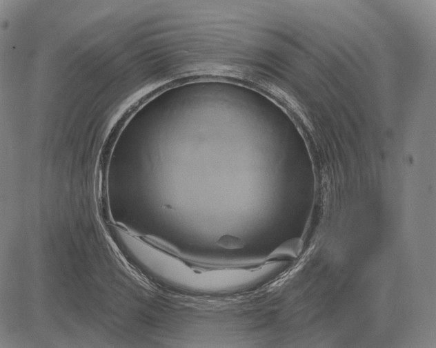 X0000083041125200702161659