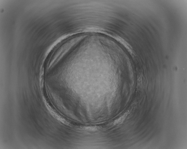 X0000083041126200702161659