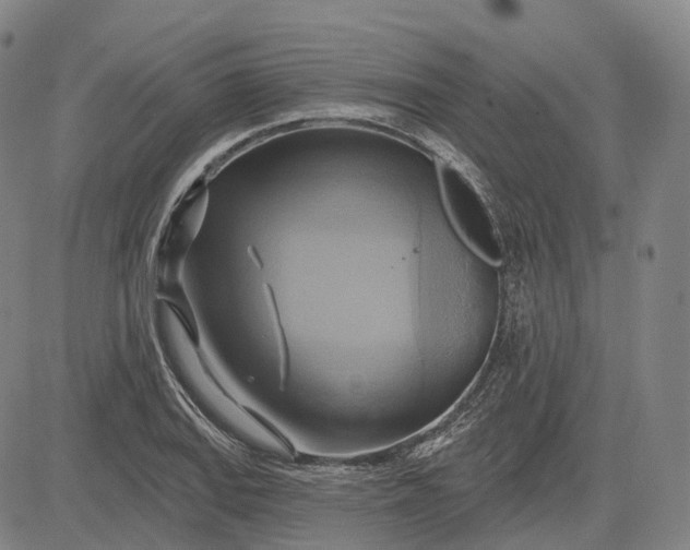 X0000083041127200702161659