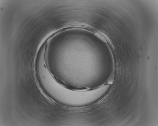 X0000083041128200702161659