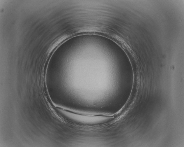 X0000083041129200702161659