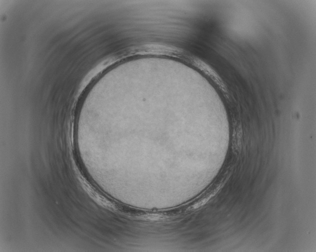 X0000083041130200702161700