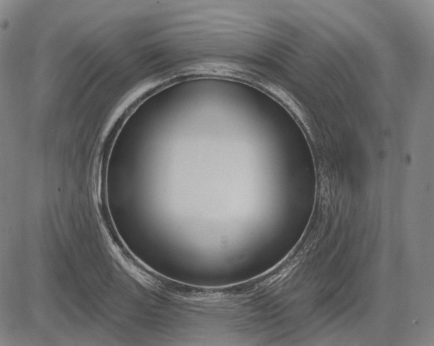 X0000083041131200702161700