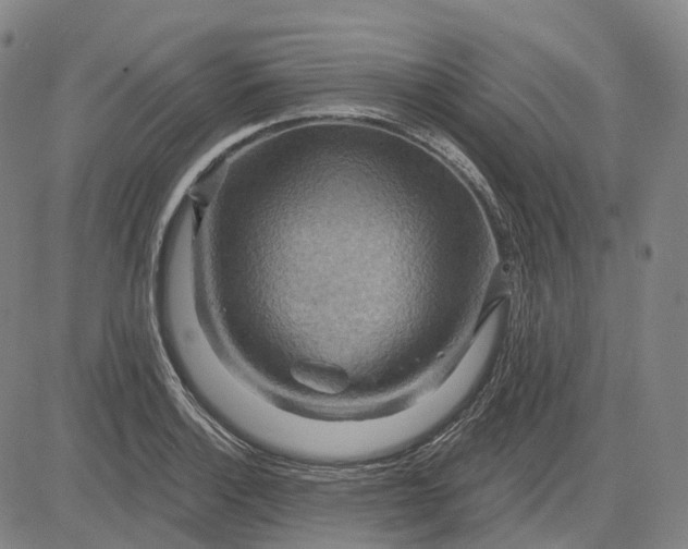 X0000083041132200702161700