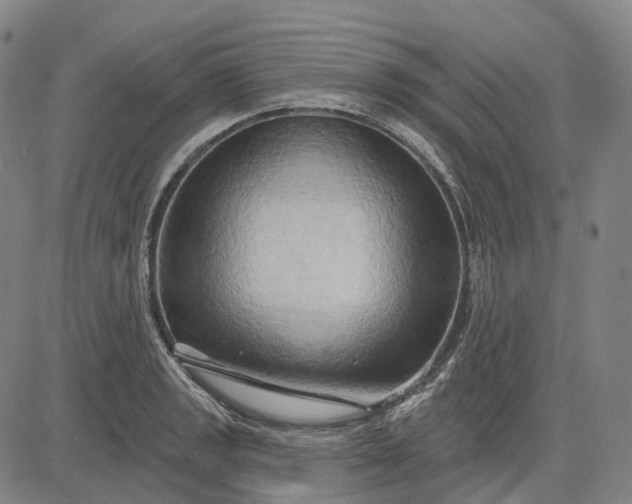 X0000083041133200702161700