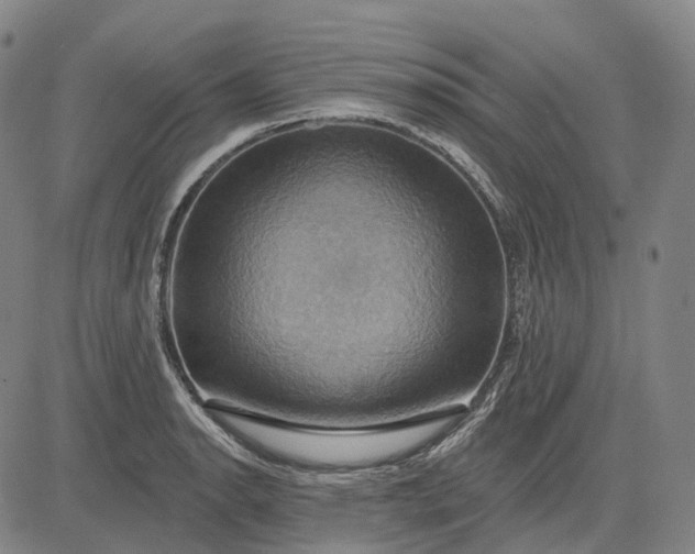 X0000083041134200702161700